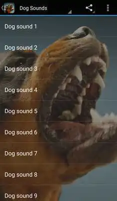 Play Dog Sounds Play Dog Sounds
