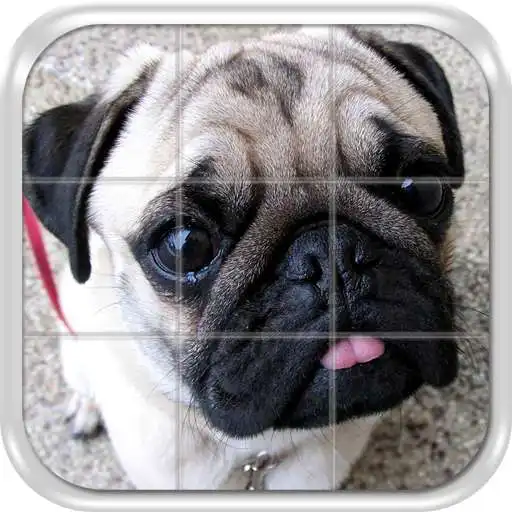 Free play online Dogs Puzzle Game APK Free play online Dogs Puzzle Game APK