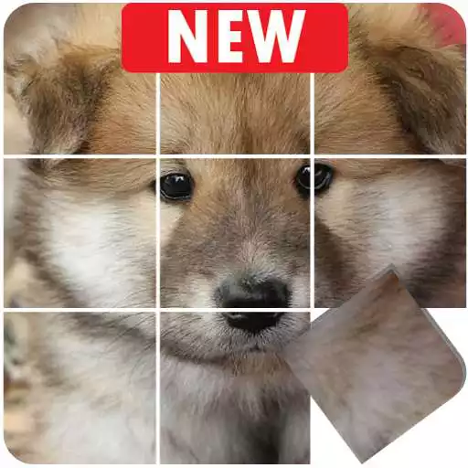Play Dogs puzzle games free, slide puzzle cute puppies APK Play Dogs puzzle games free, slide puzzle cute puppies APK