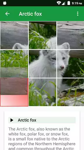 Play Dogs Puzzle as an online game Dogs Puzzle with UptoPlay