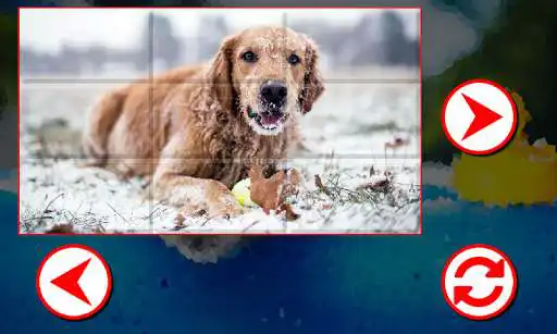 Play Dogs Puzzles  and enjoy Dogs Puzzles with UptoPlay