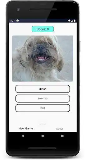 Play Dogs Quiz: Guess and Learn the Dogs Breeds  and enjoy Dogs Quiz: Guess and Learn the Dogs Breeds with UptoPlay