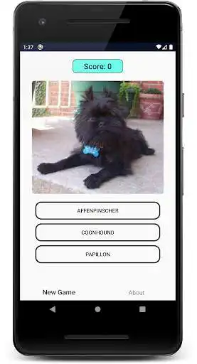 Play Dogs Quiz: Guess and Learn the Dogs Breeds as an online game Dogs Quiz: Guess and Learn the Dogs Breeds with UptoPlay