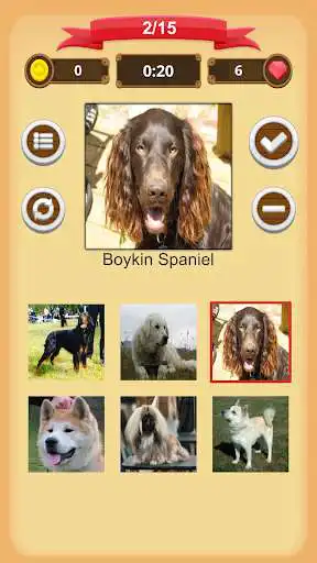 Play Dogs quiz as an online game Dogs quiz with UptoPlay
