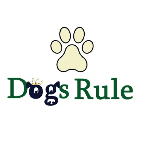 Play Dogs Rule Inn APK Play Dogs Rule Inn APK