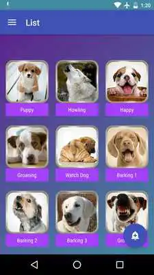 Play Dogs Sounds Play Dogs Sounds