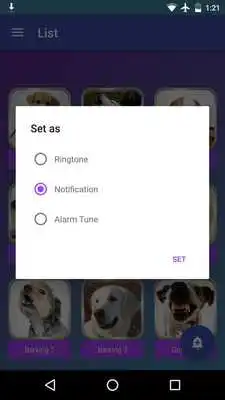 Play Dogs Sounds Play Dogs Sounds