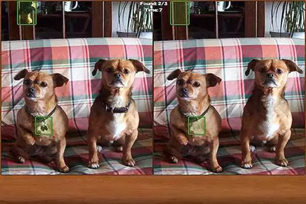 Play Dogs Spot the Difference