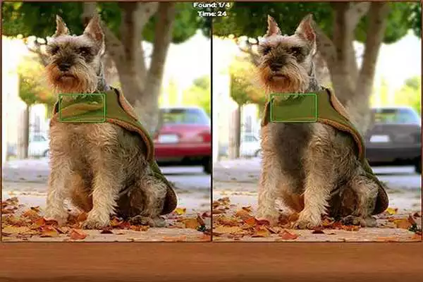 Play Dogs Spot the Difference