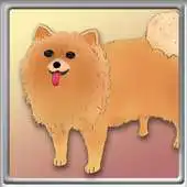 Free play online Dogs  Treats APK