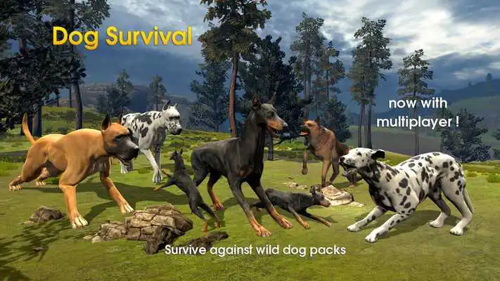 Play Dog Survival Simulator
