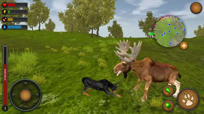 Play Dog Survival Simulator