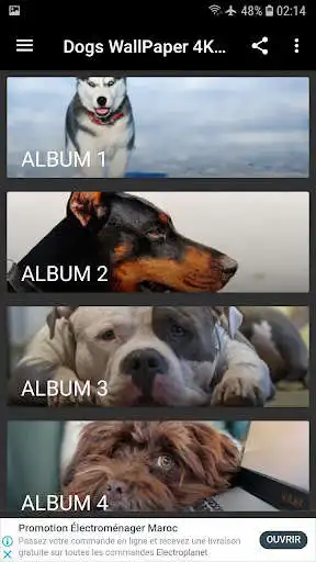 Play Dogs WallPaper 4K HD  and enjoy Dogs WallPaper 4K HD with UptoPlay