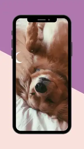 Play Dogs Wallpaper  and enjoy Dogs Wallpaper with UptoPlay