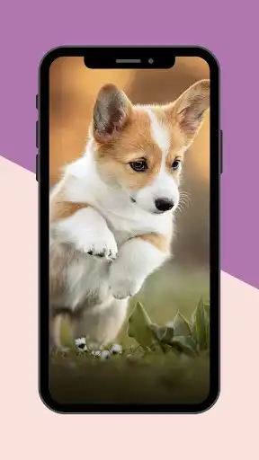 Play Dogs Wallpaper as an online game Dogs Wallpaper with UptoPlay