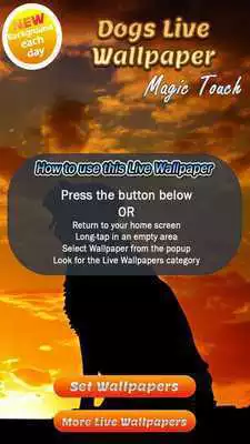 Play Dogs Wallpapers: Puppy Live Wallpaper Magic Touch