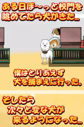 Play dog to a schoolyard