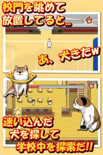 Play dog to a schoolyard