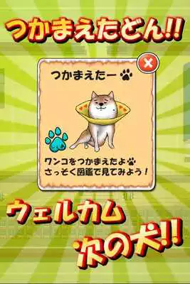 Play dog to a schoolyard