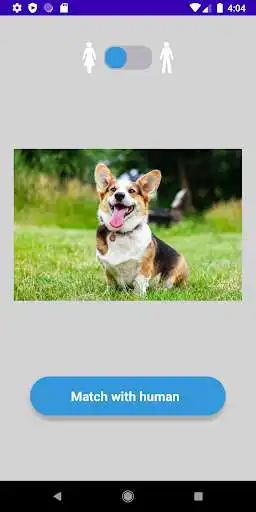 Play Dog to Person: Face Matching, Photo Look Alike as an online game Dog to Person: Face Matching, Photo Look Alike with UptoPlay