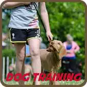Free play online Dog Training Apps APK