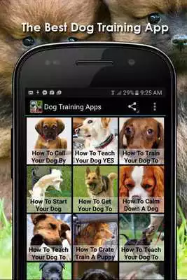 Play Dog Training Apps Play Dog Training Apps
