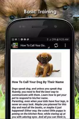 Play Dog Training Apps Play Dog Training Apps