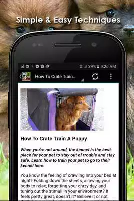 Play Dog Training Apps Play Dog Training Apps