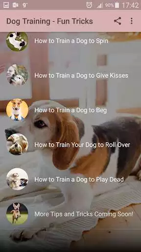 Play Dog Training - Best Tricks as an online game Dog Training - Best Tricks with UptoPlay