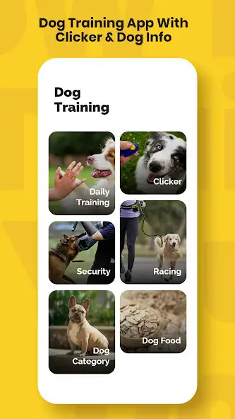 Play Dog training, Dog Tricks  and enjoy Dog training, Dog Tricks with UptoPlay