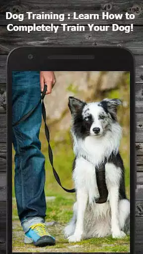 Play Dog Training Guide  and enjoy Dog Training Guide with UptoPlay