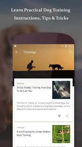 Play Dog Training - How To Raise The Perfect Puppy