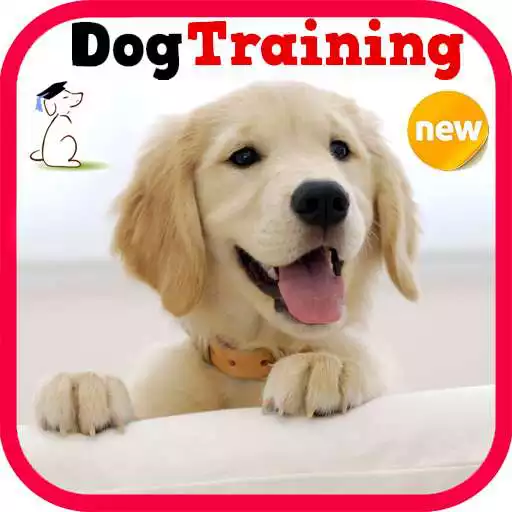 Play Dog Training APK Play Dog Training APK