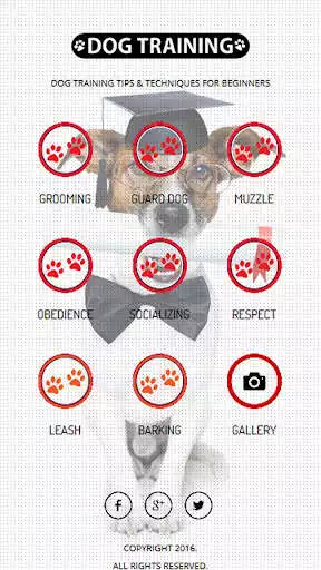 Play Dog Training  and enjoy Dog Training with UptoPlay