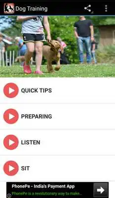 Play Dog Training