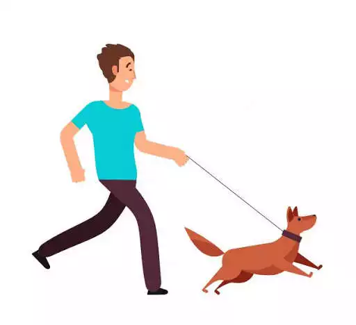 Play Dog Training Tricks