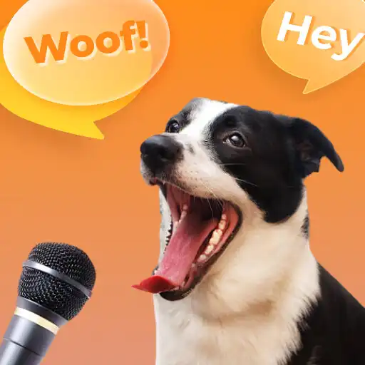 Play Dog Translater - Talk to Dog APK