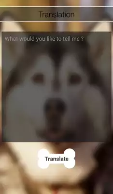 Play Dog translator (PRANK)