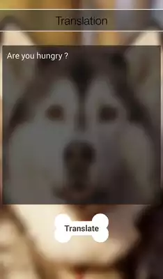 Play Dog translator (PRANK)