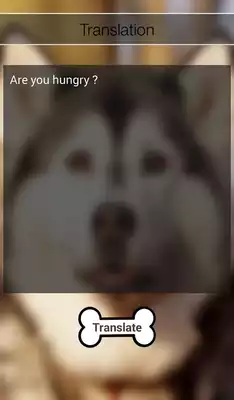 Play Dog translator (PRANK)