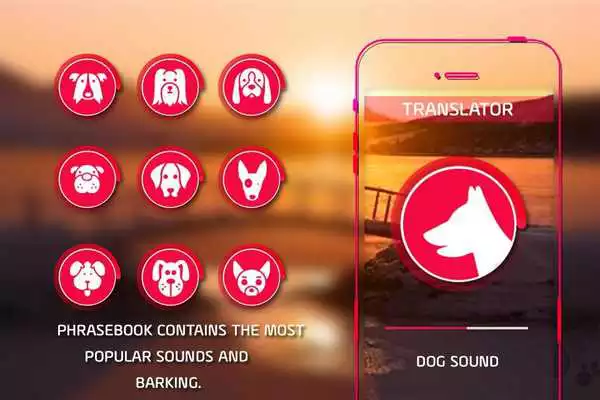 Play Dog Translator++   (Simulator)