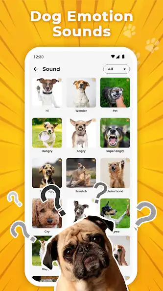Play Dog Translator  Trainer as an online game Dog Translator  Trainer with UptoPlay