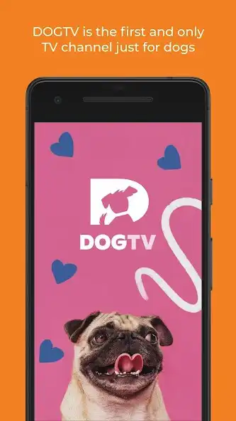 Play DOGTV: Television for dogs  and enjoy DOGTV: Television for dogs with UptoPlay