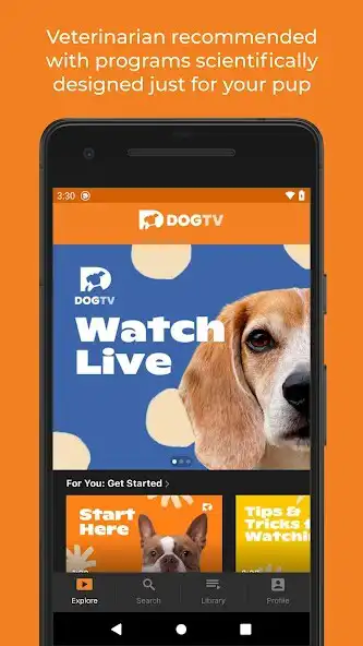 Play DOGTV: Television for dogs as an online game DOGTV: Television for dogs with UptoPlay