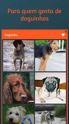 Play DOGUINHO  and enjoy DOGUINHO with UptoPlay