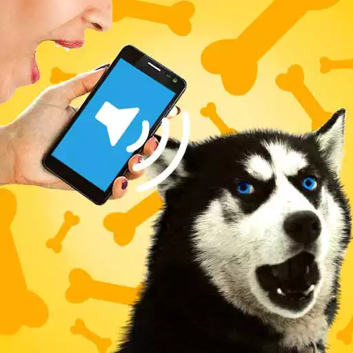 Free play online Dog Voice Translator APK
