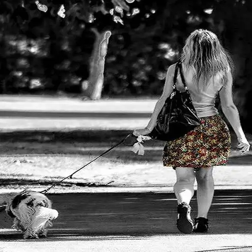 Play Dog Walkers Poop Bag Tracker APK