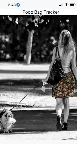 Play Dog Walkers Poop Bag Tracker  and enjoy Dog Walkers Poop Bag Tracker with UptoPlay