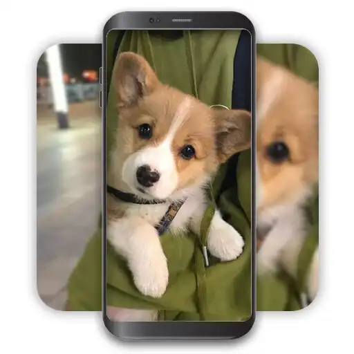 Play Dog Wallpaper - 3D  4K APK