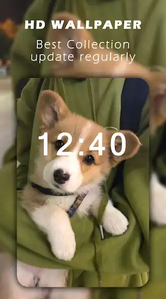 Play Dog Wallpaper - 3D 4K and enjoy Dog Wallpaper - 3D 4K with UptoPlay Play Dog Wallpaper - 3D 4K and enjoy Dog Wallpaper - 3D 4K with UptoPlay